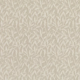 Erin Stucco — Villa Nova tyg