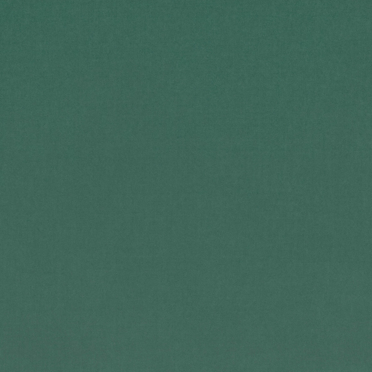 Barcelona Spruce — Villa Nova tygprov