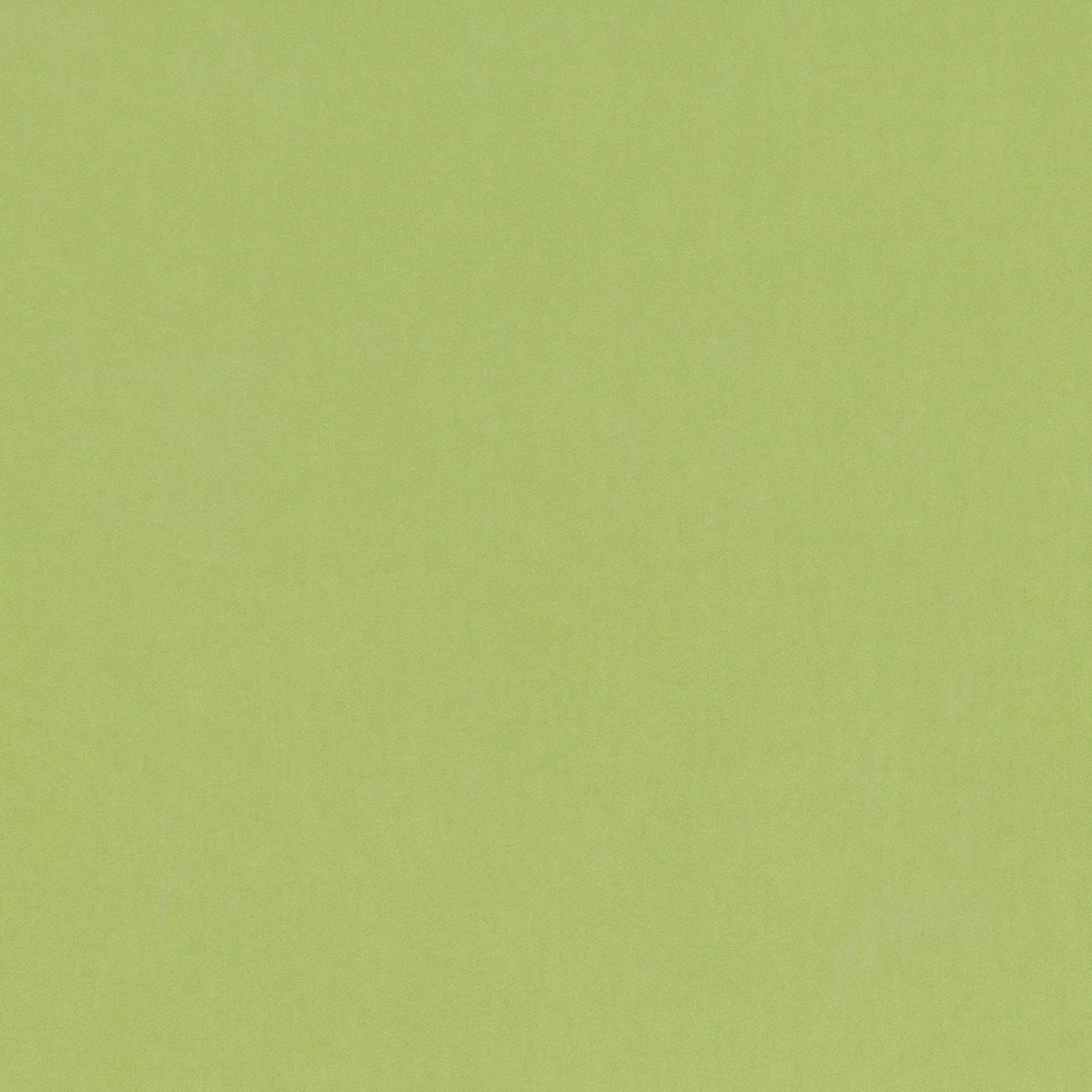 Barcelona Matcha — Villa Nova tygprov