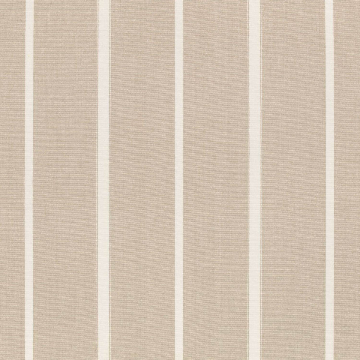 Reno Birch — Villa Nova tyg