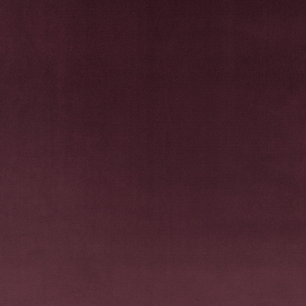 Rio Blackberry — Villa Nova tyg