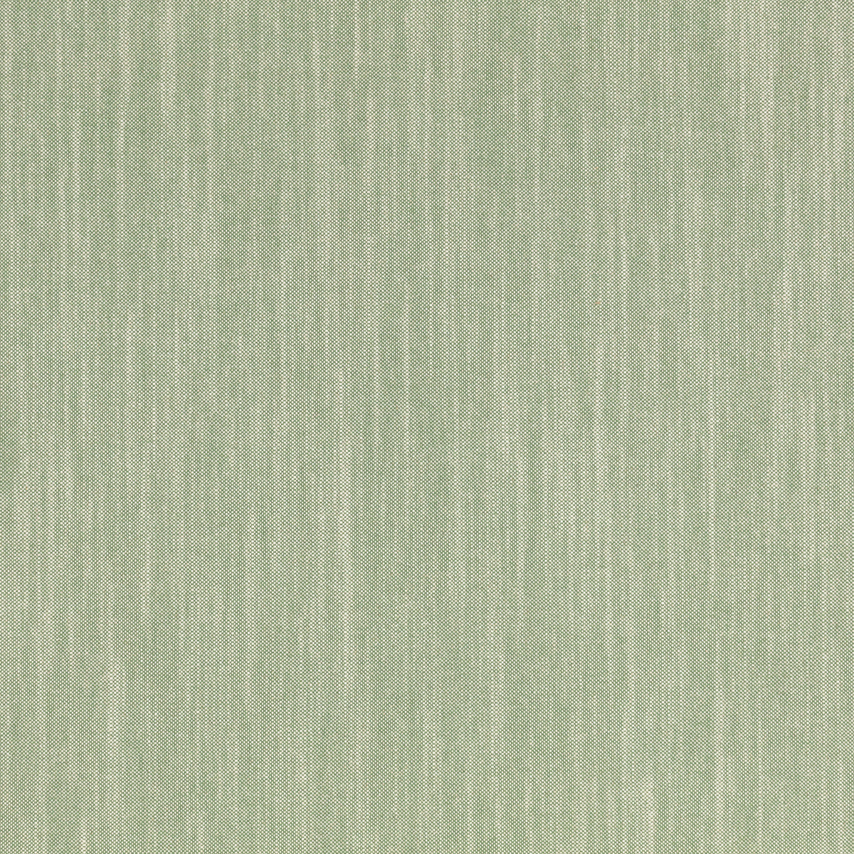 Bari Oregano — Villa Nova tyg