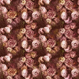 Vespertina Sepia — Designers Guild tyg