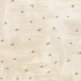 Twinkle Twinkle Chalk — Villa Nova tapet