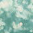 Tropics