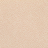 Speckle Plaster — Villa Nova tapet