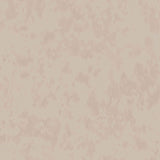 Alumina Bisque — Villa Nova tapet
