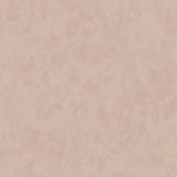 Alumina Plaster — Villa Nova tapet