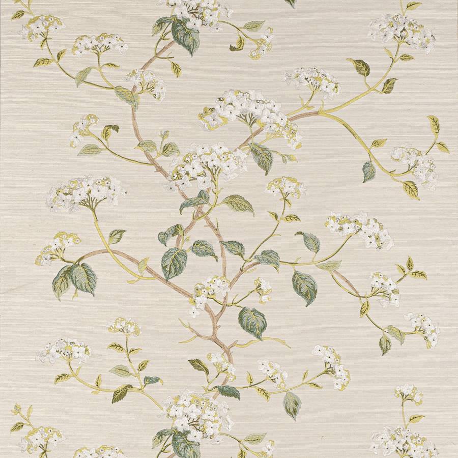 Summerby Ivory — Colefax & Fowler tapet