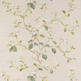 Summerby Ivory — Colefax & Fowler tapet