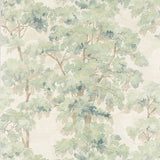 Arbour Green — Colefax & Fowler tapet