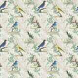 Wallpaper Birds Parchment — Designers Guild tyg