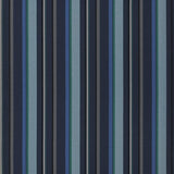 Webbing Stripe Indigo — Designers Guild tyg
