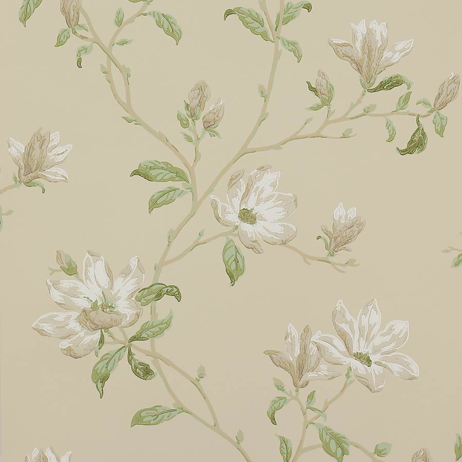 Colefax Fowler Tapet Marchwood White Sage