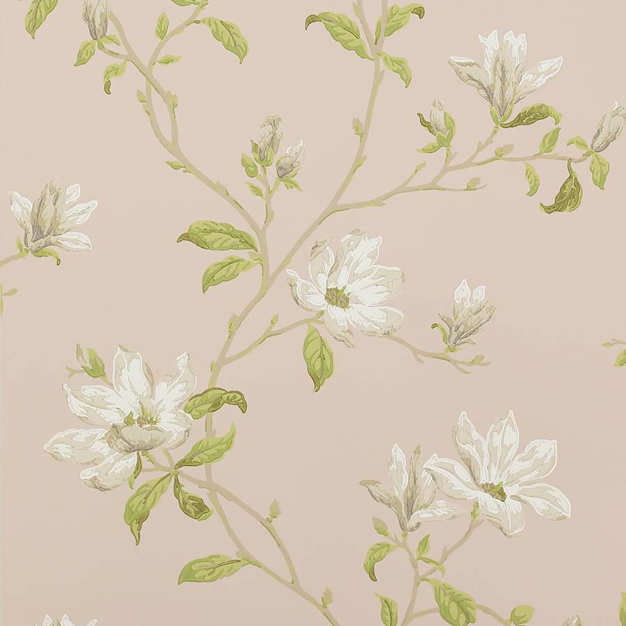 Colefax Fowler Marchwood Shell Pink -tapetti