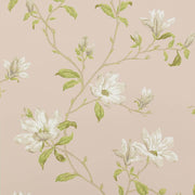 Colefax Fowler Tapet Marchwood Shell Pink