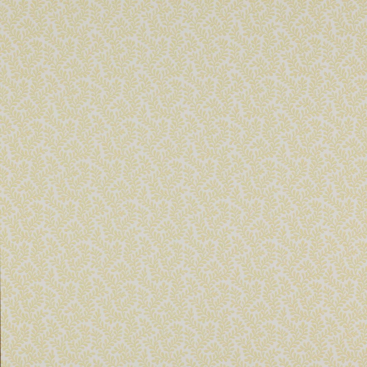 Colefax Fowler Rushmere Yellow -tapetti
