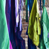 Designers Guild Tyg Calozzo Stretto Zinnia