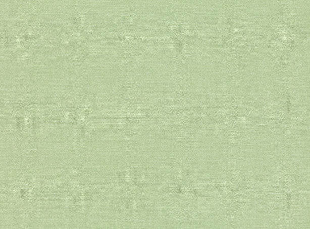 Linara Aloe