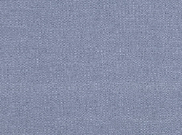 Linara Bluebell
