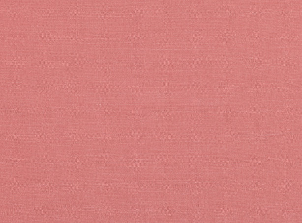 Linara Sorbet
