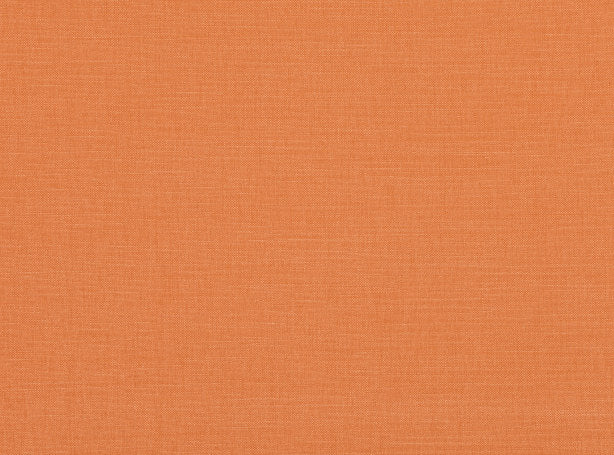 Linara Pumpkin