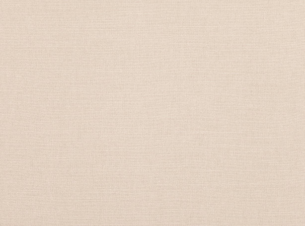 Linara Chickpea