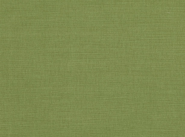 Linara Matcha