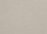 Linara Stucco