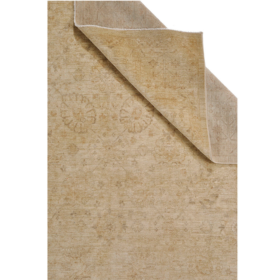 Ziglari 289 × 191 cm