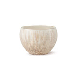 Aerin Blomkruka Amelie Cachepot (Small) 18K Gold