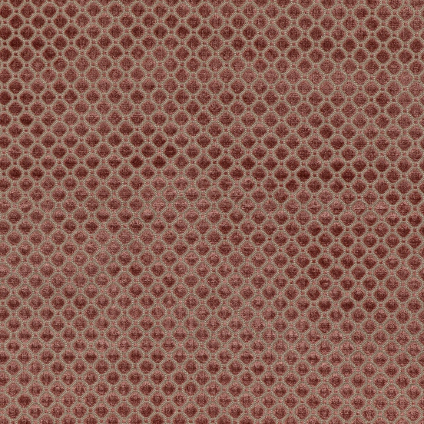 Indus Velvet Tyg