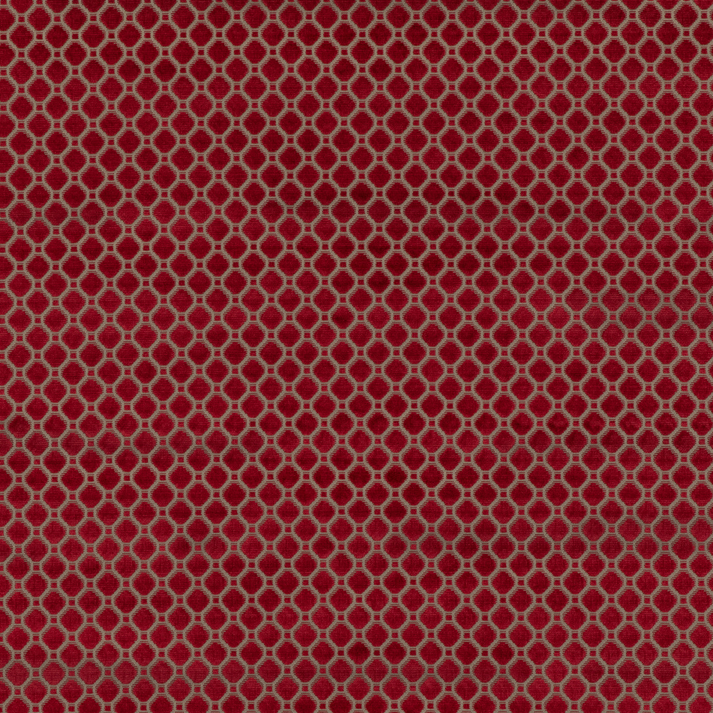 Indus Velvet Tyg