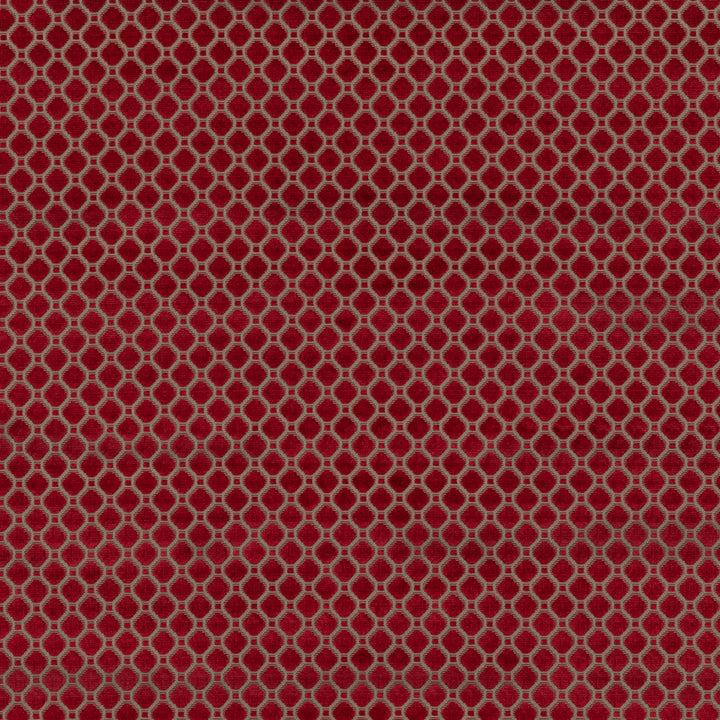 Indus Velvet Tyg