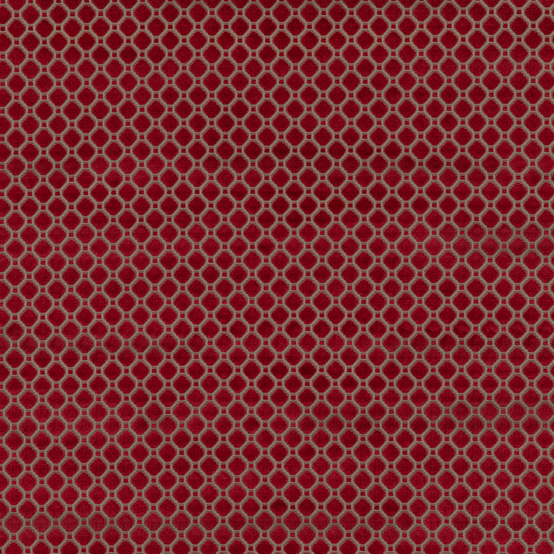 Indus Velvet Fabric