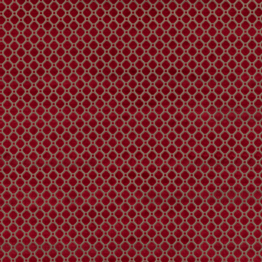 Indus Velvet Fabric