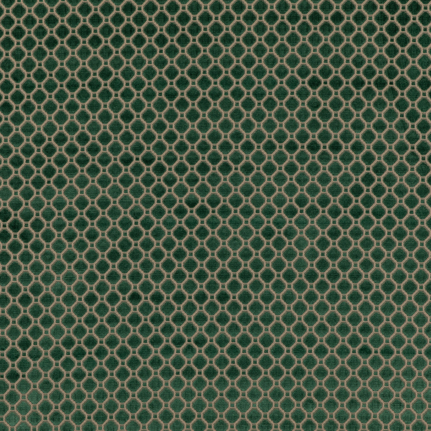 Indus Velvet Tyg