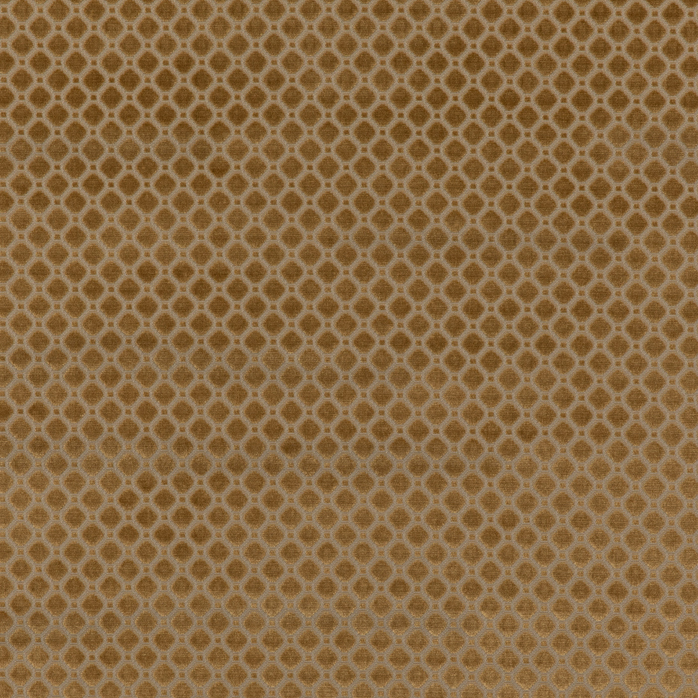 Indus Velvet Tyg