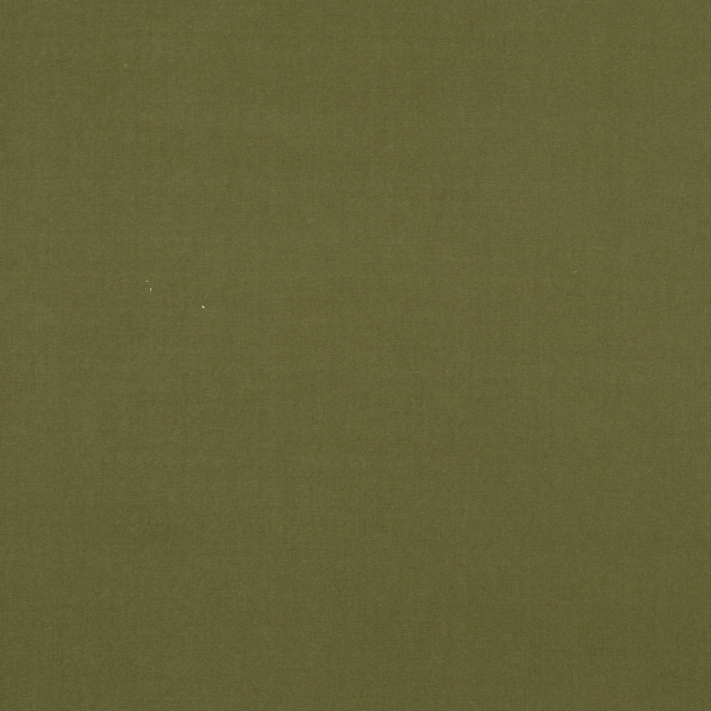 Baker House Velvet Tyg
