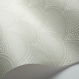 Cole and Son Tapet Feather Fan 37