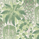 Cole and Son Tapet Fern 21