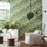 Cole and Son Tapet Fern 22