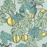 Cole and Son Tapet Frutto Proibito 2