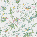 Cole and Son Tapet Hummingbirds 15
