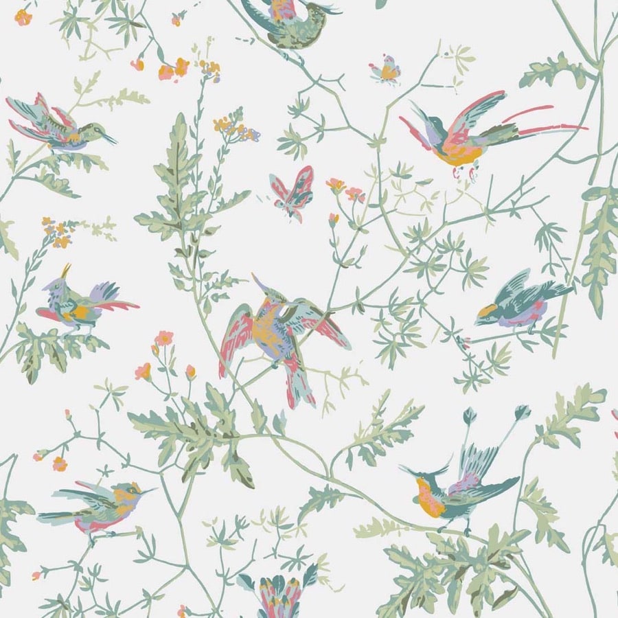 Cole and Son Tapet Hummingbirds 16
