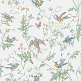 Cole and Son Tapet Hummingbirds 16
