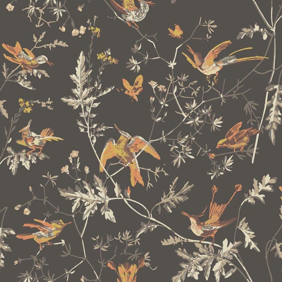 Cole and Son Tapet Hummingbirds 17