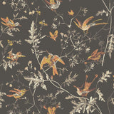 Cole and Son Tapet Hummingbirds 17