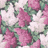Cole and Son Tapet Lilac 1