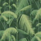 Cole and Son Tapet Palm Jungle 3